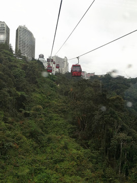 云顶 缆车 山林