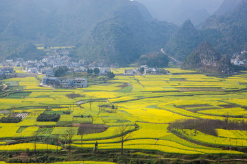 万峰林