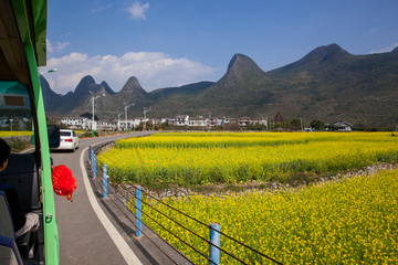 万峰林