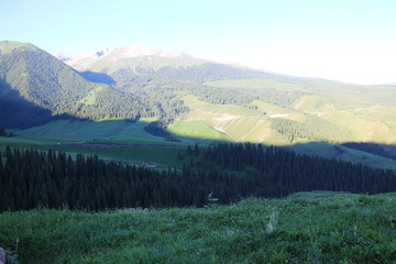 初夏的山谷