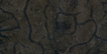 龟纹石2大理石材质板材背景花纹