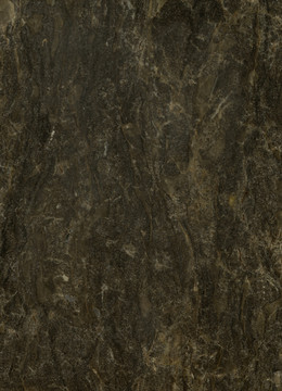 棕桐啡 光面大理石材质板材背景