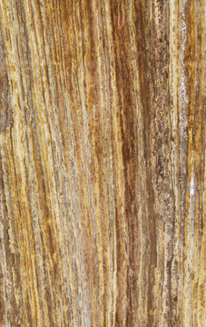 金啡洞 细纹大理石材质板材背景