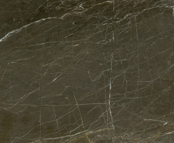 威尼斯海星灰大理石材质板材背景