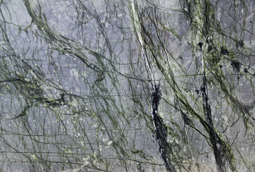 绿森林大理石材质板材背景花纹