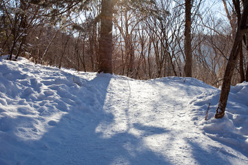 中国雪乡 雪谷