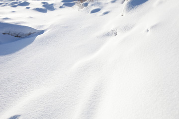 白雪 雪地 雪景