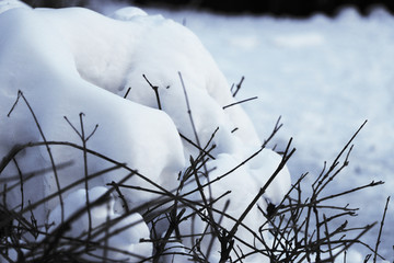 雪景