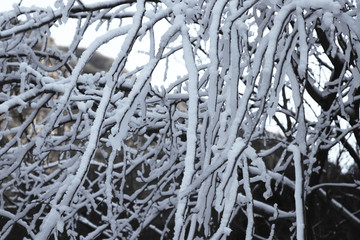 雪景