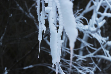 雪景