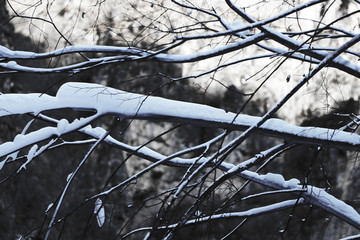 雪景