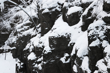 雪景