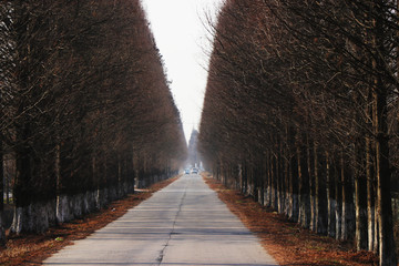乡间小路