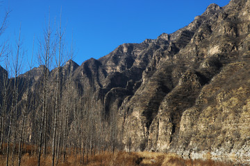 荒山