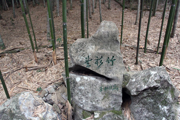 竹林石头