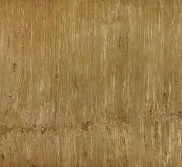 竹化石大理石板材背景石质纹理