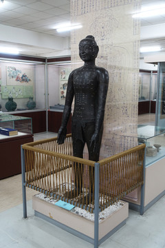 北京中医药博物馆 针灸铜人