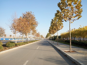 蓝天下的道路