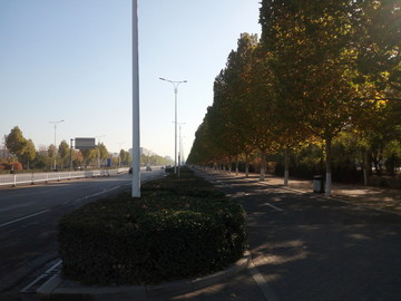 道路