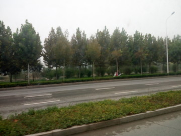 在路上