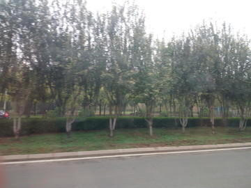 在路上