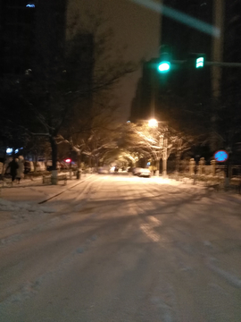 雪中城市
