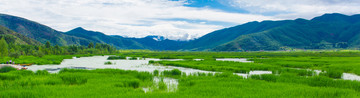 泸沽湖草海