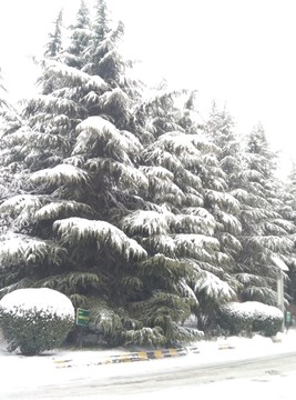 西安 北郊 北辰大道周边 雪景