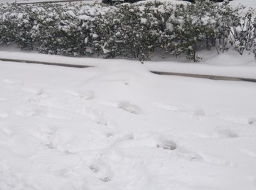 西安 北郊 北辰大道周边 雪景