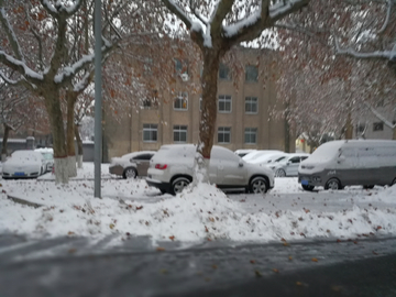 瑞雪兆丰年 雪景 大雪 瑞雪