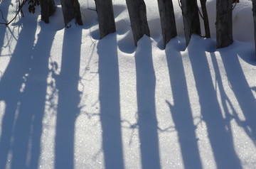 雪