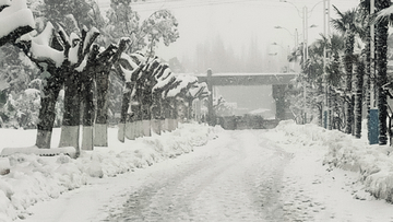 雪天 雪景