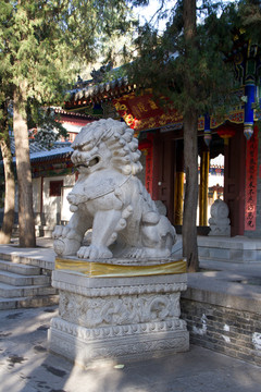 石狮 兴教寺三藏院