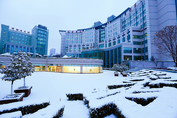 西京医院雪景