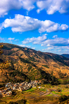 大山村庄