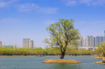 城市边上的南湖