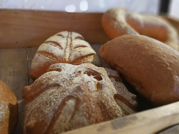 欧式面包 欧包 面包 餐包