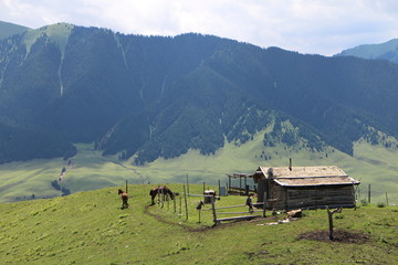 牧区山坡木屋