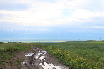 泥巴小路