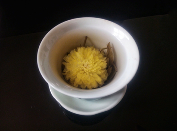 黄菊茶