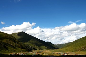 高原草地