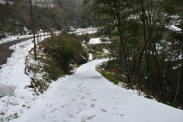 南方雪景 雪景