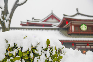 大唐芙蓉园雪景