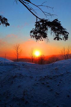 雪乡 雪乡风景 中国雪乡