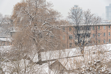 雪景