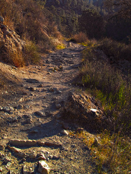 山林小路 丛林小路 原始森林