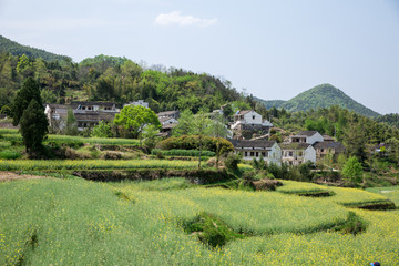 宁波奉化大堰村