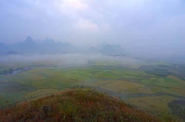 风景 雾色田野