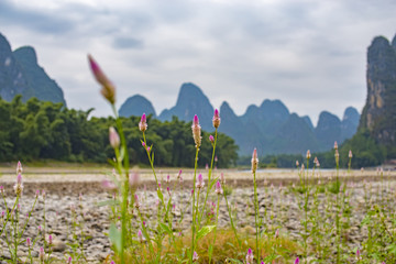 山水 风景