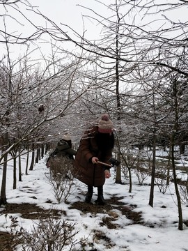 雪景美如画 （10）